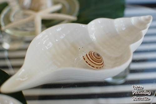 貝殻の形のお皿