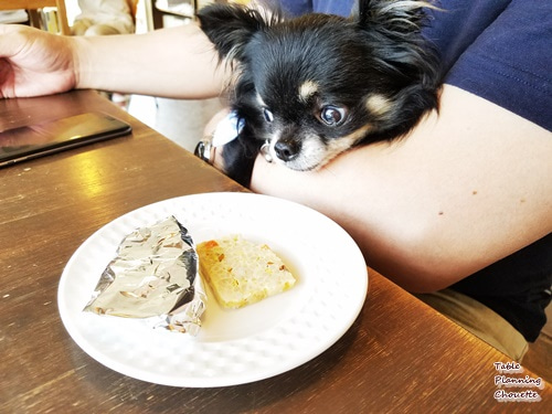 浦和のRAIN DOGS CAFE(レインドッグスカフェ)